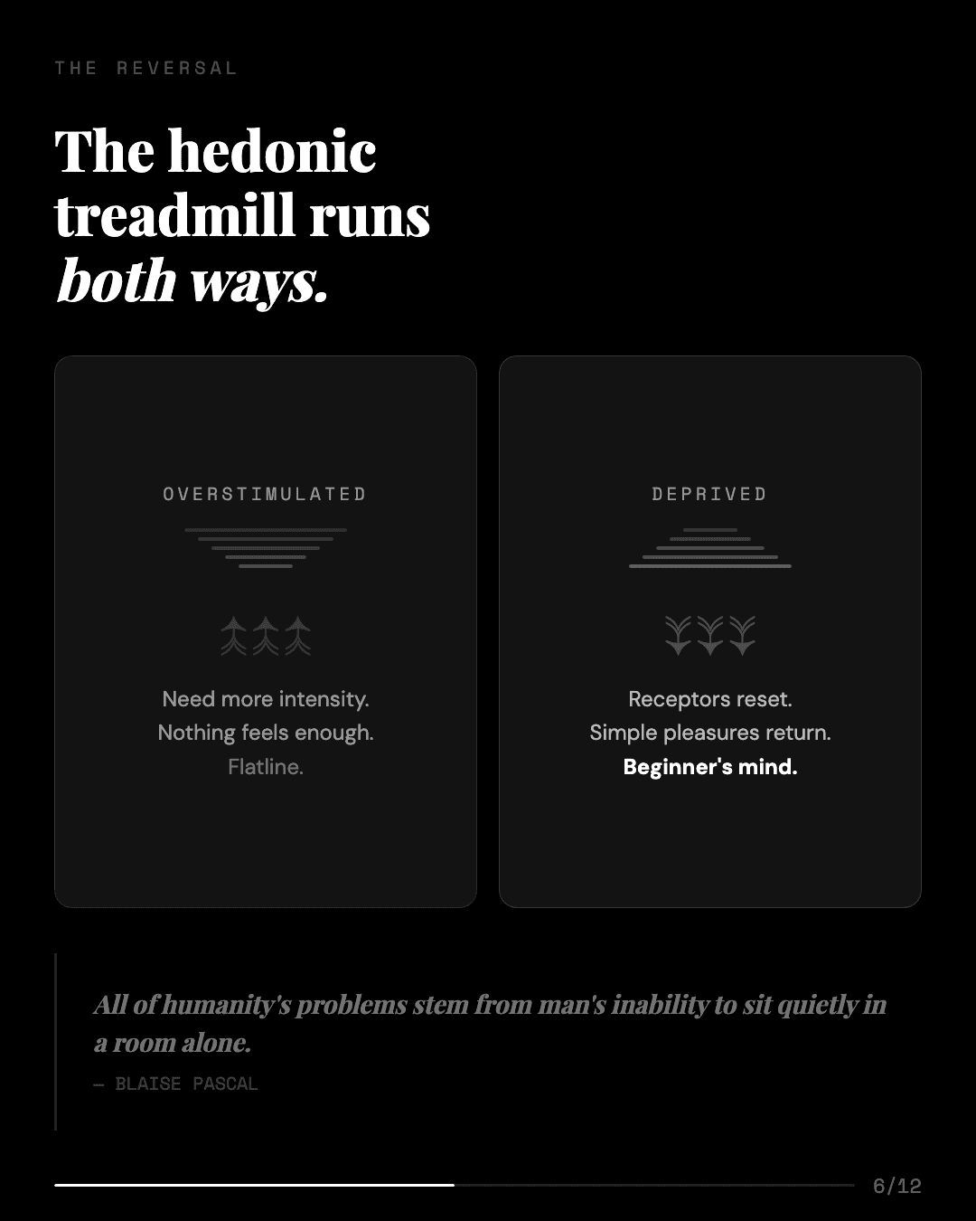 Article to Carousel — slide 6